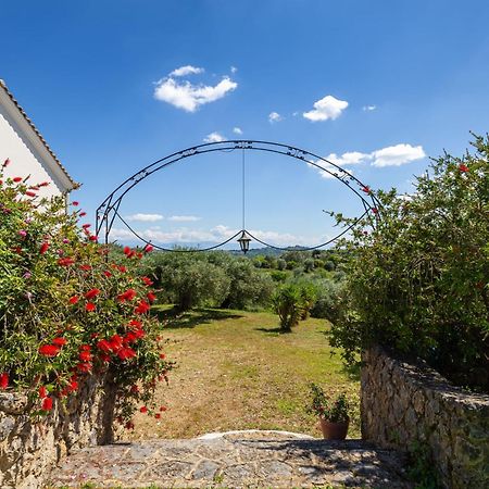 Classical Villa Anta Ágios Ioánnis Exterior foto